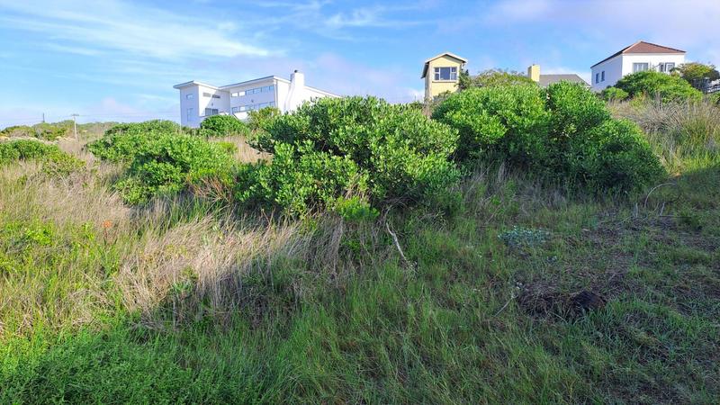 0 Bedroom Property for Sale in Jongensfontein Western Cape